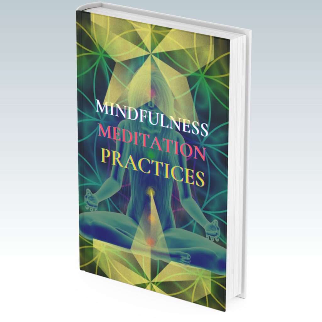 Mindfulness and Meditation Practices  ebook
