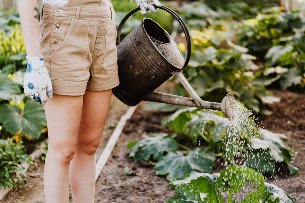 How to Build a Sustainable Garden: A Step-by-Step Guide for Beginners
